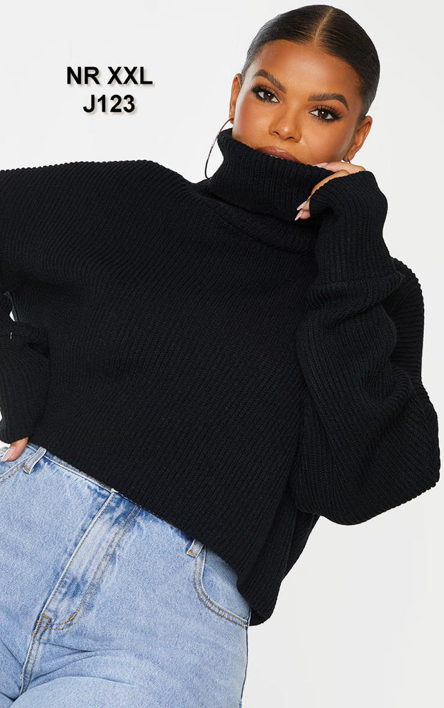 Plus Black Ribbed Knit High Neck Cropped Jumper