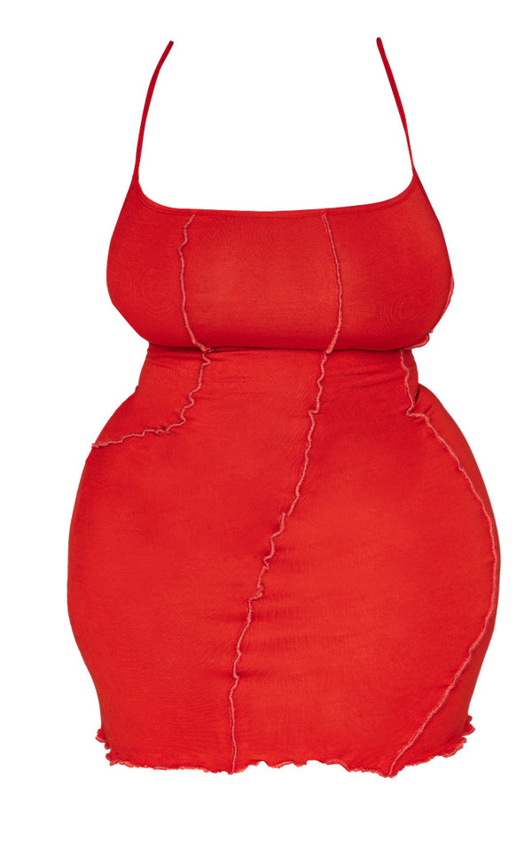 Plus Red Seam Detail Bodycon Dress